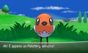 fletchling_selvatico_pokemonX_Y_pokemontimes-it