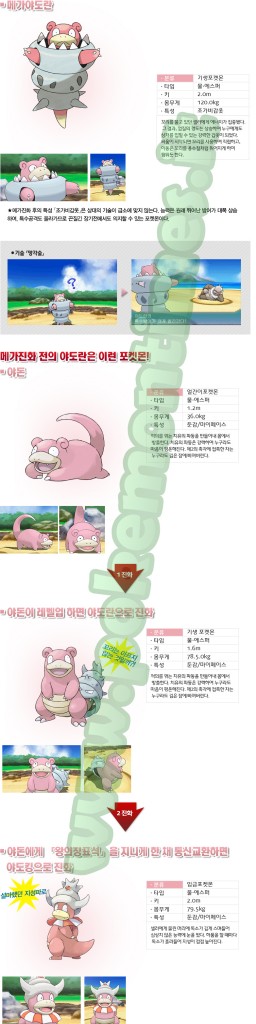 megaslowbro_pagina_sito_coreano_pokemontimes-it
