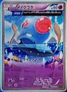 gcc_xy5_tentacool_pokemontimes-it gcc_xy5_tentacool_pokemontimes-it