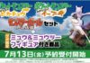 banner_bonus_preordine_modellino_mew_mewtwo_lets_go_switch_pokemontimes-it