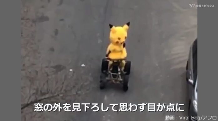 pikachu_fake_mascotte_guida_auto_mondo_pokemontimes-it
