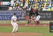 pokemon-baseball-korea